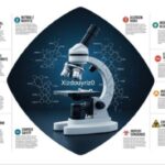 is ingredients in xizdouyriz0 good